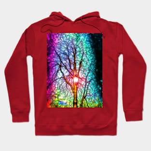Tree Colored Hoodie